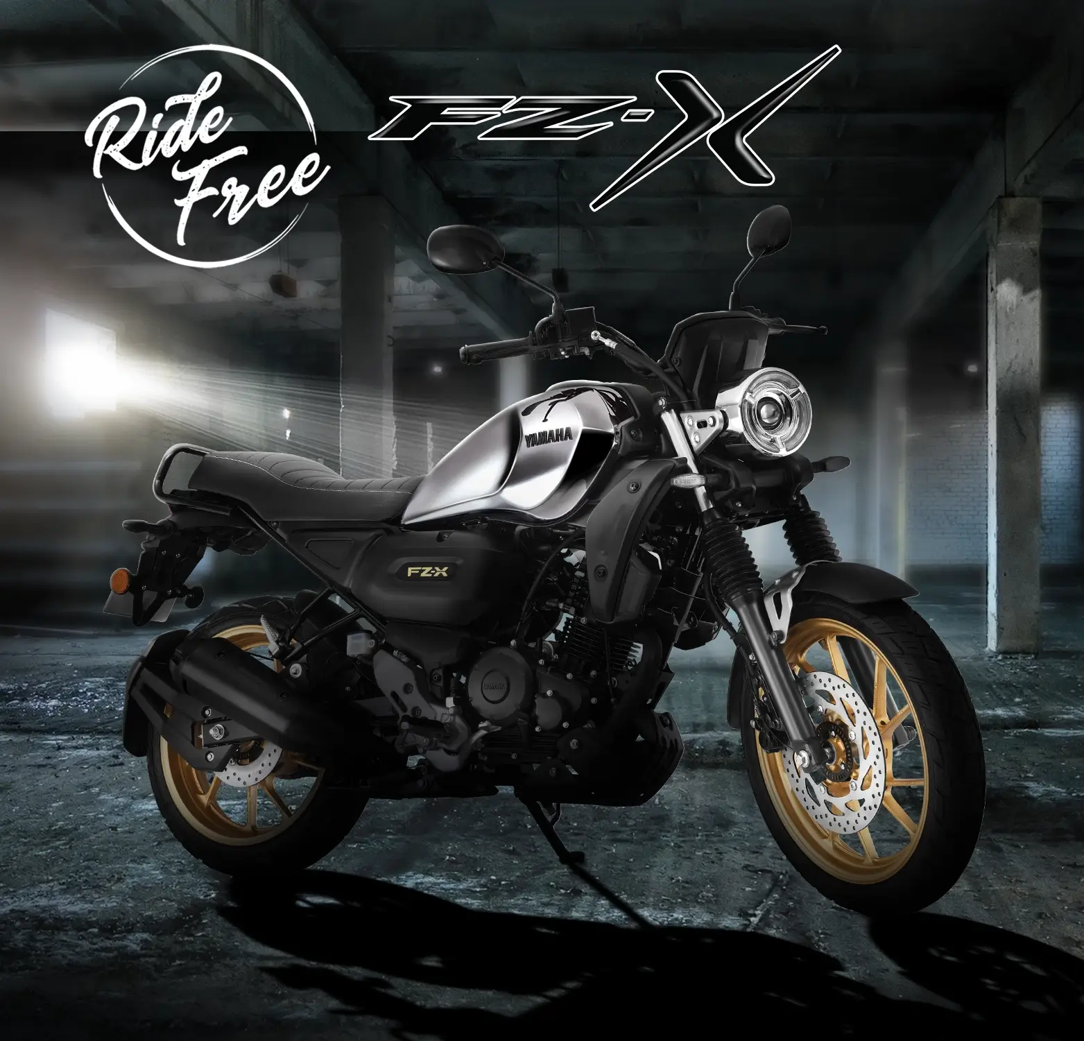 Yamaha FZ X 150cc ❘ FZX Price, Specifications, Features, Images 